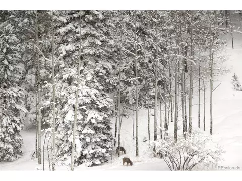 28380 Squirrel Ln, Conifer, CO 80433 photo 35