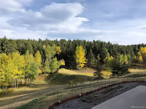 28380 Squirrel Ln, Conifer, CO 80433 photo 8
