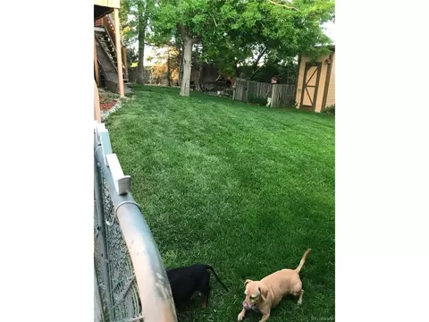 220 E Cornwall Ct, Lafayette, CO 80026 photo 26