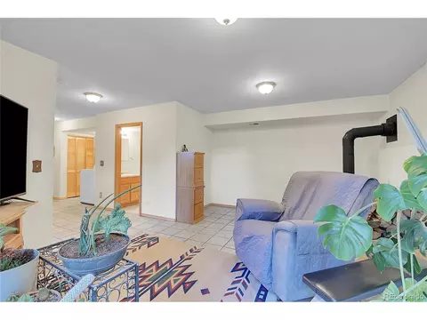 519 Beaver Trl, Bailey, CO 80421 photo 28