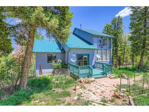 147 Shavano Creek Trl, Florissant, CO 80816