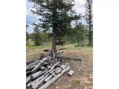 247 Sutiki Dr, Red Feather Lakes, CO 80545
