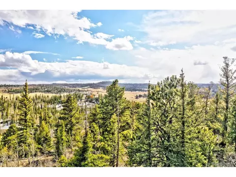 352 Chippewa Ln, Como, CO 80432 photo 3