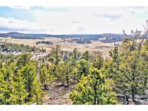 352 Chippewa Ln, Como, CO 80432 photo 4