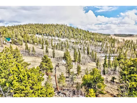 352 Chippewa Ln, Como, CO 80432 photo 8