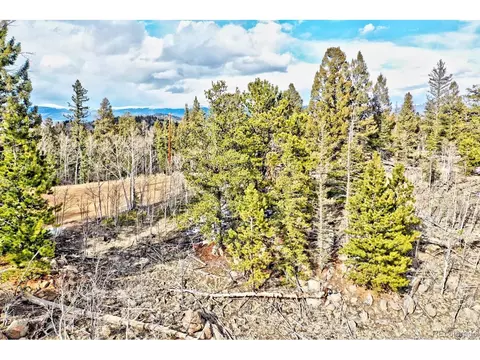 352 Chippewa Ln, Como, CO 80432 photo 6