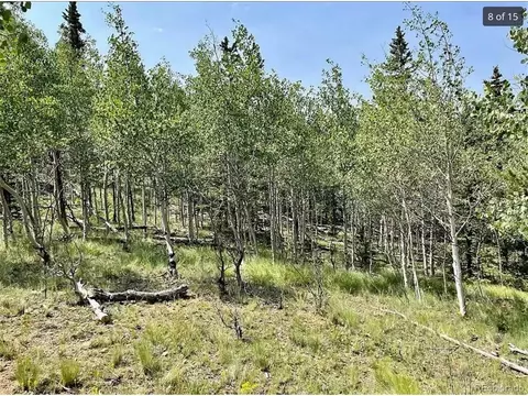345 Thunder Ln, Como, CO 80432 photo 9