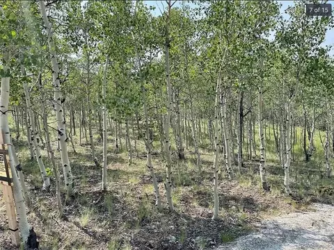 345 Thunder Ln, Como, CO 80432 photo 8