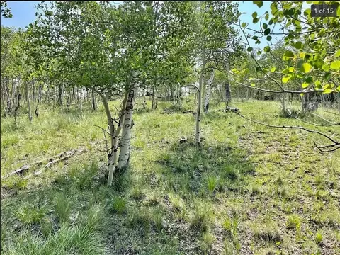 345 Thunder Ln, Como, CO 80432 photo 2