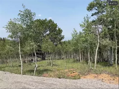 345 Thunder Ln, Como, CO 80432 photo 5