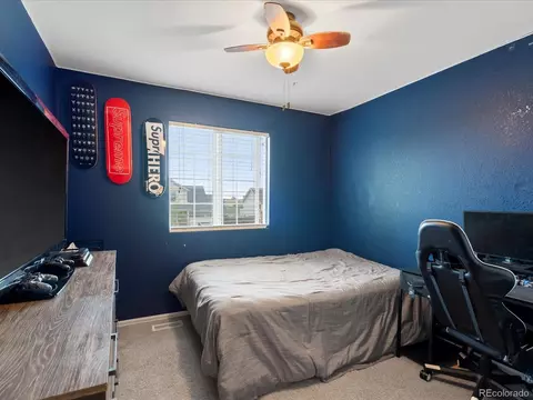 4436 Windmill Dr, Brighton, CO 80601 photo 18