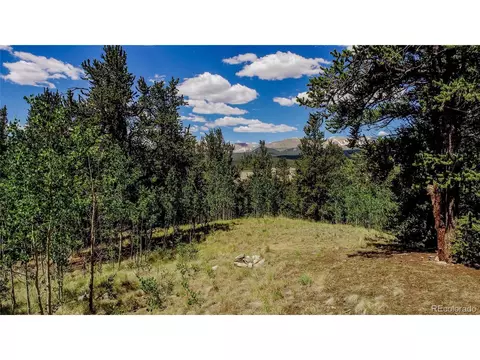 308 Quarry Rd, Fairplay, CO 80440