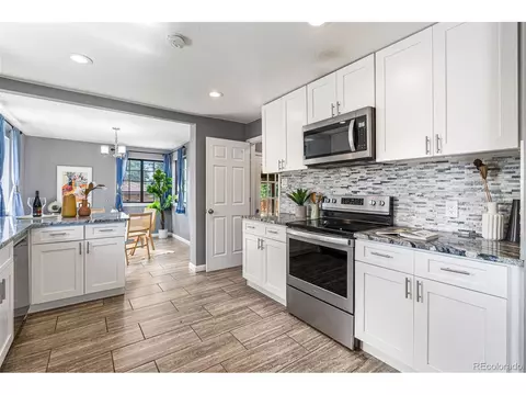 3615 Ivanhoe St, Denver, CO 80207 photo 13
