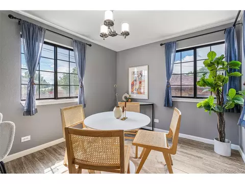 3615 Ivanhoe St, Denver, CO 80207 photo 19
