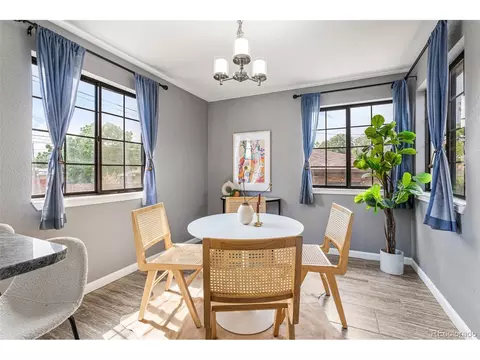 3615 Ivanhoe St, Denver, CO 80207 photo 18