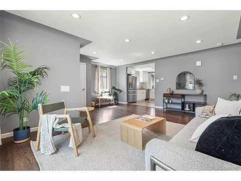 3615 Ivanhoe St, Denver, CO 80207 photo 9