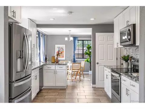 3615 Ivanhoe St, Denver, CO 80207 photo 12