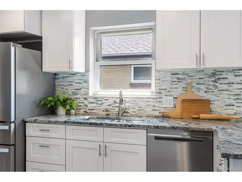 3615 Ivanhoe St, Denver, CO 80207 photo 15