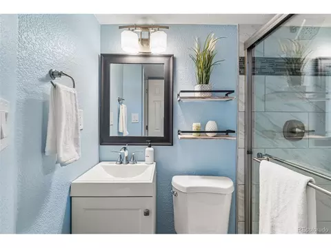3615 Ivanhoe St, Denver, CO 80207 photo 33