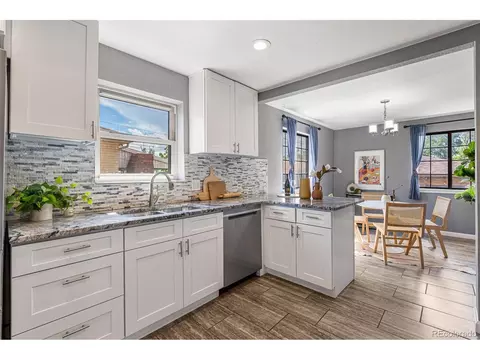 3615 Ivanhoe St, Denver, CO 80207 photo 14