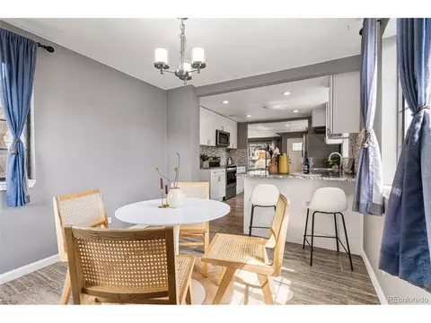 3615 Ivanhoe St, Denver, CO 80207 photo 20