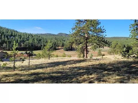 Vista Ln, Pine, CO 80470 photo 11