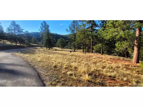 Vista Ln, Pine, CO 80470 photo 13