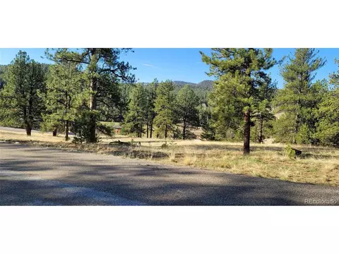 Vista Ln, Pine, CO 80470 photo 4
