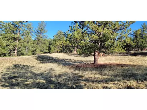 Vista Ln, Pine, CO 80470 photo 10