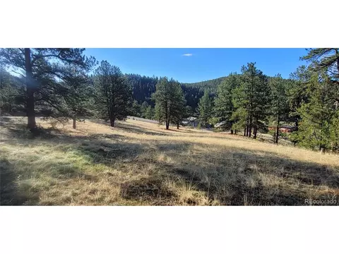 Vista Ln, Pine, CO 80470 photo 9