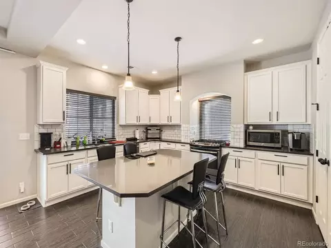 19085 Robins Dr, Denver, CO 80249 photo 7