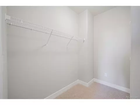 811 Forest Canyon Rd, Severance, CO 80550 photo 25