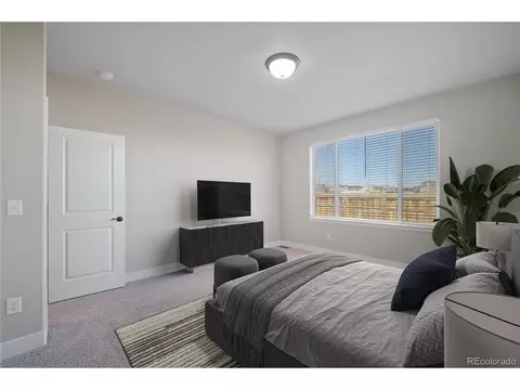 811 Forest Canyon Rd, Severance, CO 80550 photo 22
