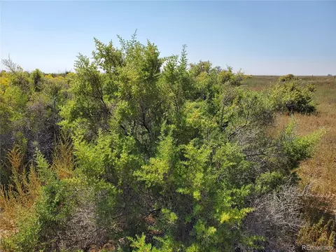 tbd Road 113n, Mosca, CO 81146 photo 5