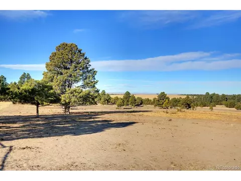 24775 High Timber Ln, Agate, CO 80101 photo 24