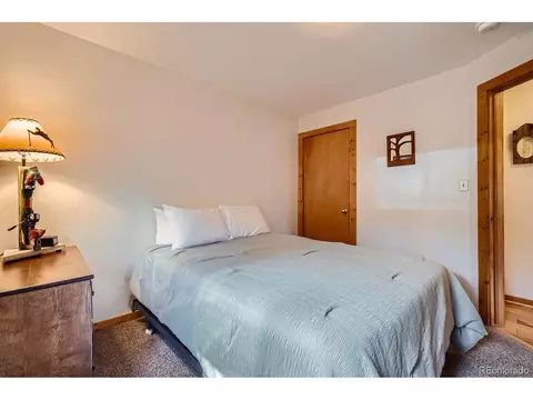 513 Vail Cir, Dillon, CO 80435 photo 13