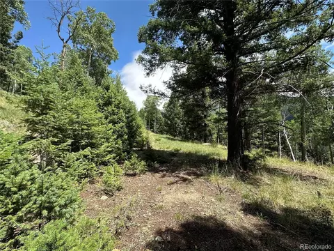 tbd Calkins, Jasper, CO 81146 photo 6