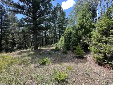 tbd Calkins, Jasper, CO 81146 photo 7