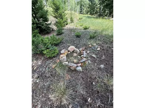 tbd Calkins, Jasper, CO 81146 photo 4