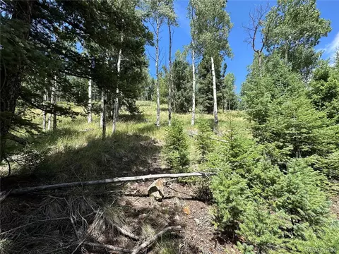 tbd Calkins, Jasper, CO 81146 photo 3
