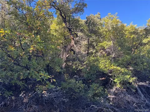 378 Lower Camp Rd, Howard, CO 81233 photo 10
