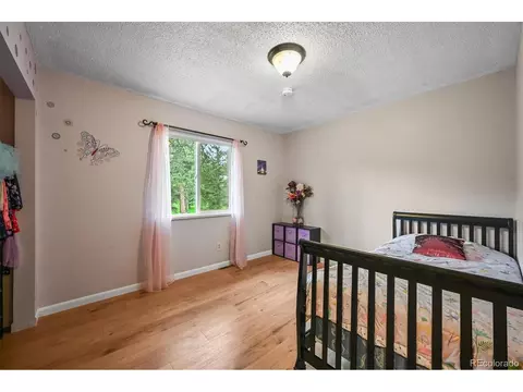 26499 West St, Conifer, CO 80433 photo 28