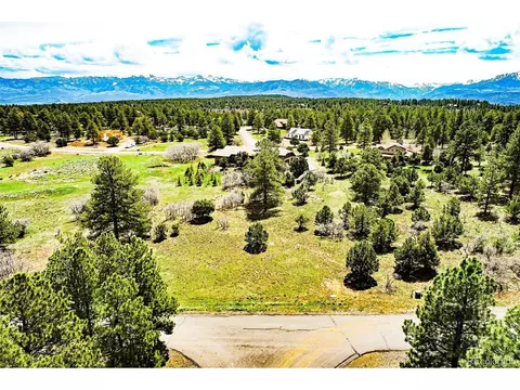 327 Bear Cub Dr, Ridgway, CO 81432