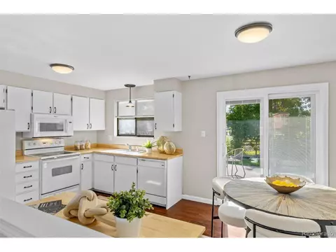250 Jupiter Dr, Lone Tree, CO 80124 photo 10
