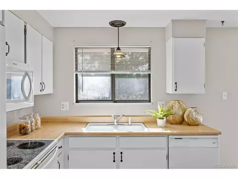 250 Jupiter Dr, Lone Tree, CO 80124 photo 12