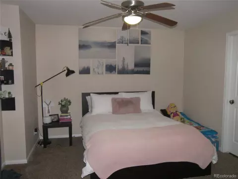 19059 E 58th Ave, Denver, CO 80249 photo 11