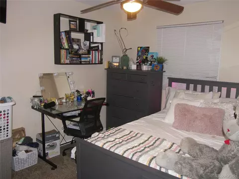 19059 E 58th Ave, Denver, CO 80249 photo 14