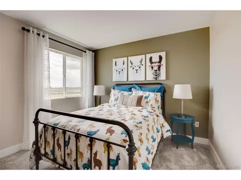 6756 E 119th Pl, Thornton, CO 80233 photo 15
