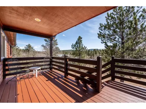 83 El Lobo Ln, Bailey, CO 80421 photo 4