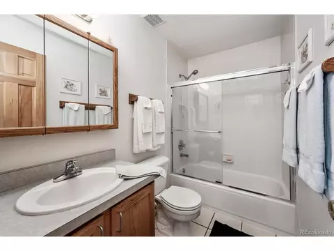 83 El Lobo Ln, Bailey, CO 80421 photo 25